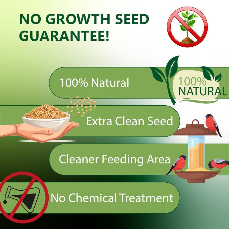 Happy Wings Nyjer/Thistle Seeds Wild Bird Food - 10 Pounds I No Grow Seed I Bird Seed for Wild Birds - Image 5